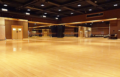 舞蹈室弹性地板